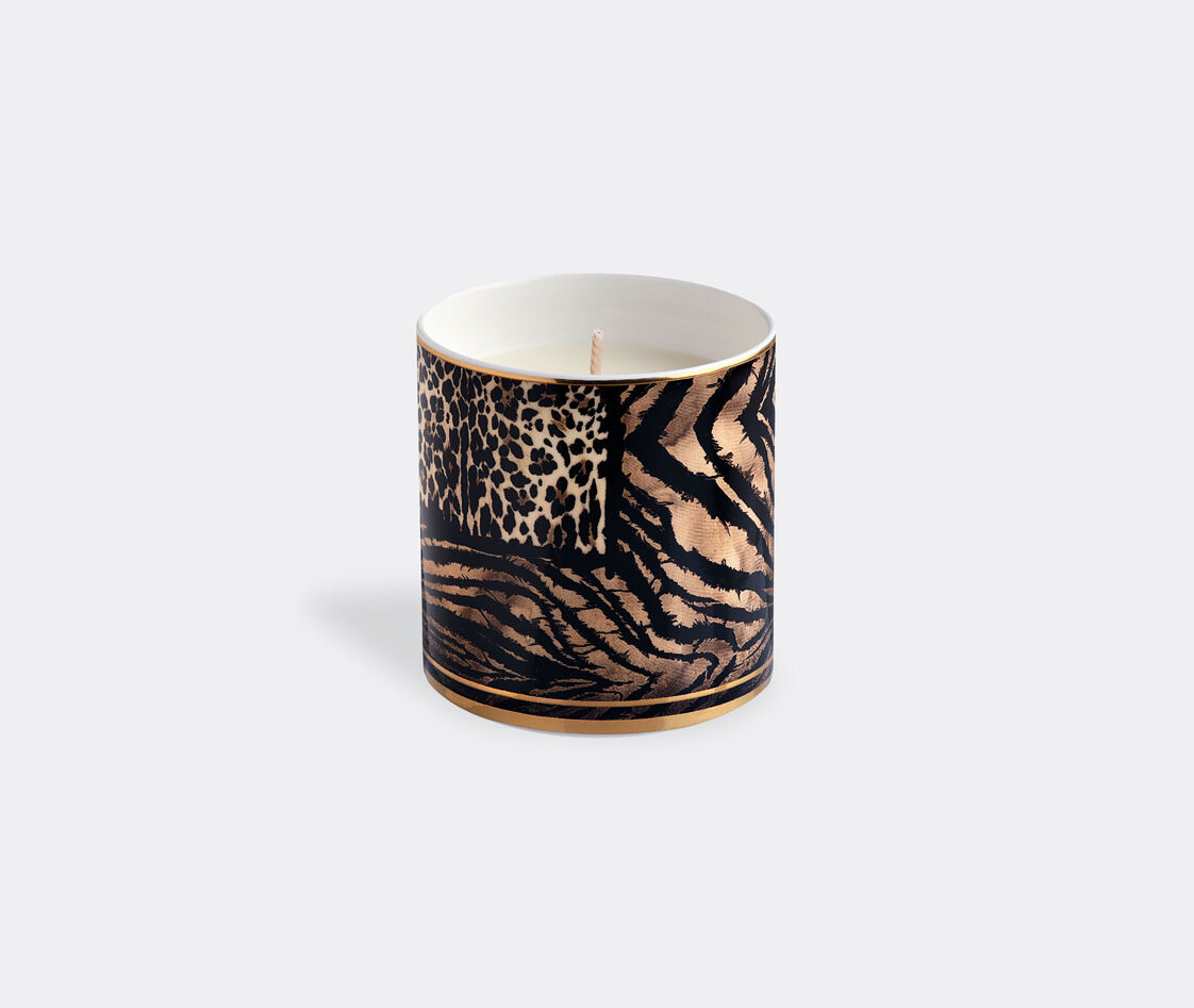 Roberto Cavalli Home Candlelight And Scents Multicolor Uni