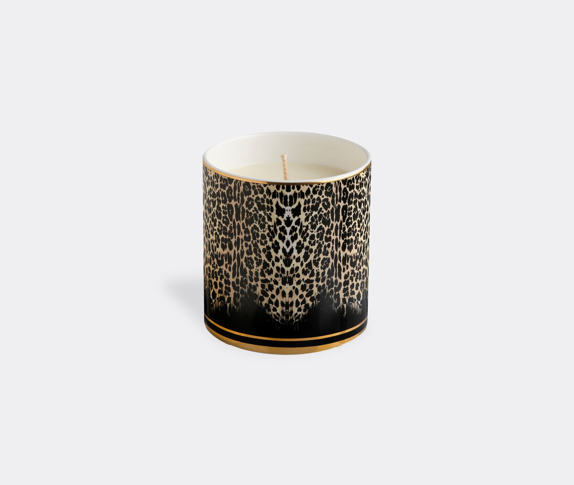 Roberto Cavalli Home Candlelight And Scents Multicolor Uni
